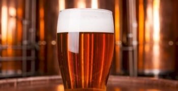 brewery-experience-1