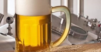 brewery-experience-2