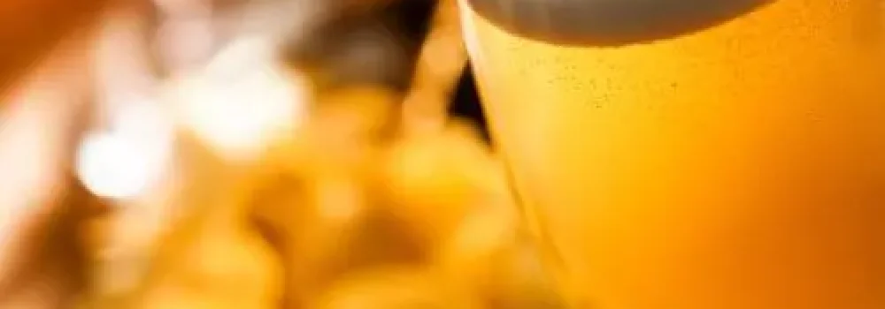 brewery-experience-day-11 (1)