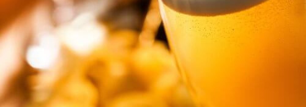 brewery-experience-day-11