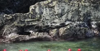 cornish-castaway-3