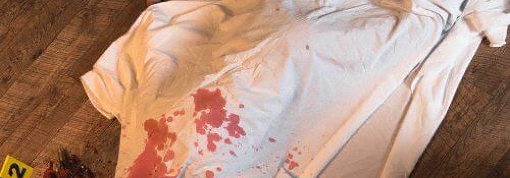 csi-experience-5 (1)