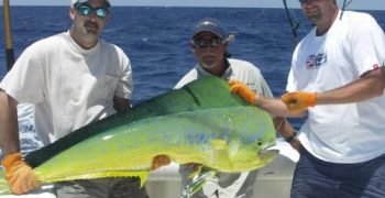 deep-sea-fishing-11