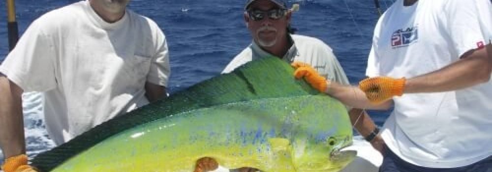 deep-sea-fishing-11
