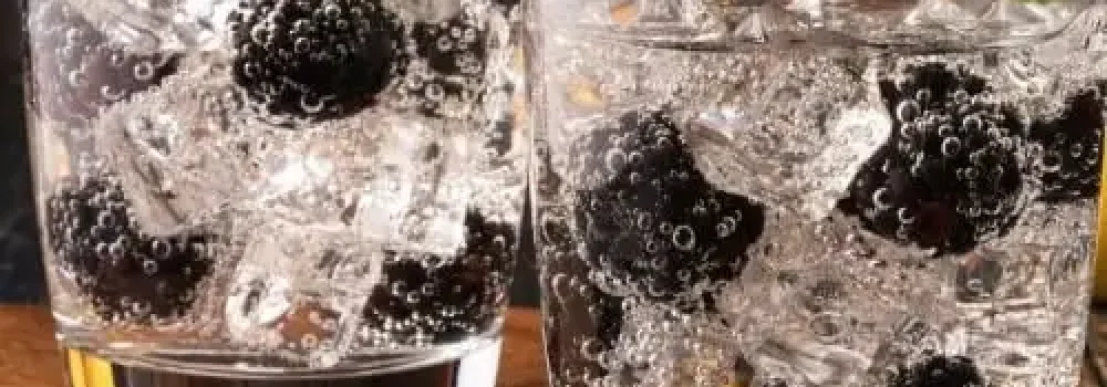 gin-tasting-3