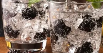 gin-tasting-3 (7)