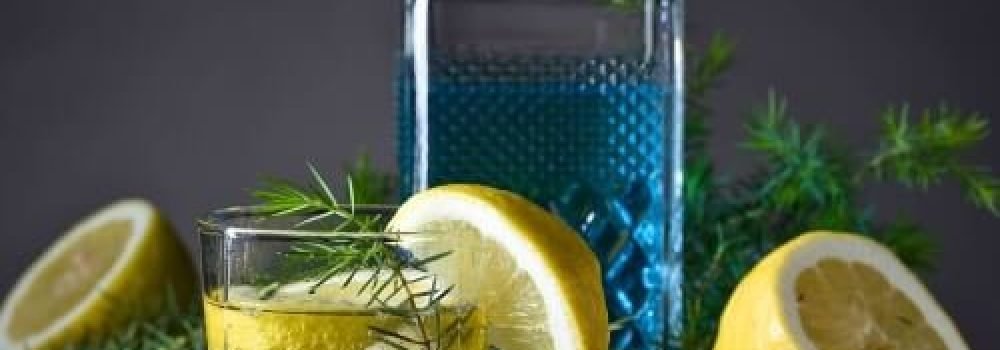 gin-tasting-6