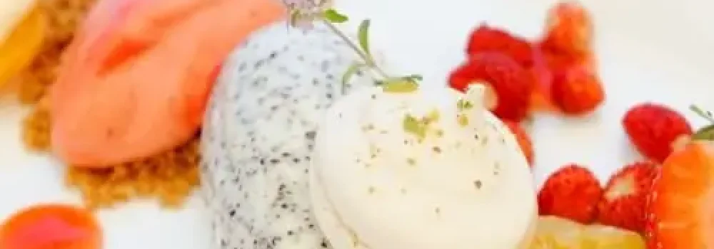 gourmet-lunch-14