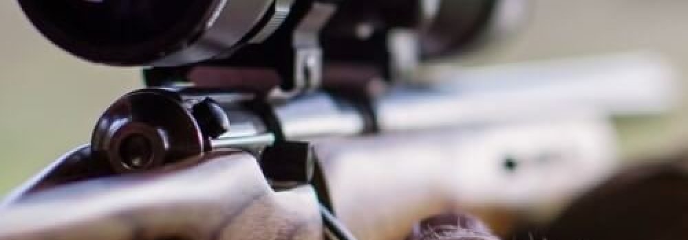 guns234