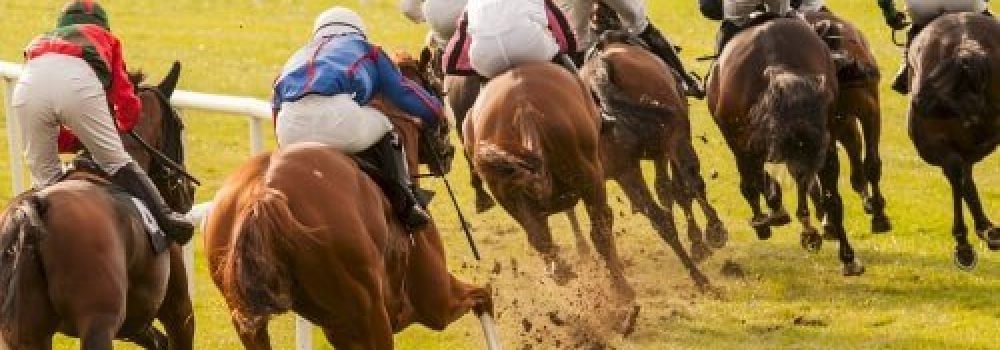 horse-races-2