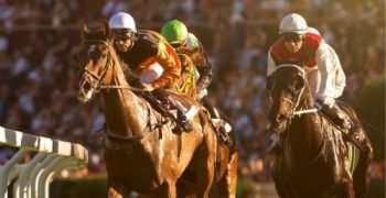 horse-racing-12