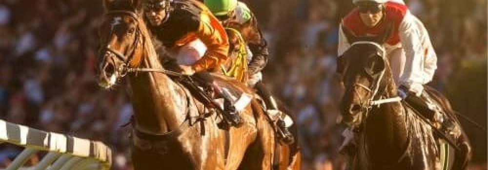 horse-racing-12