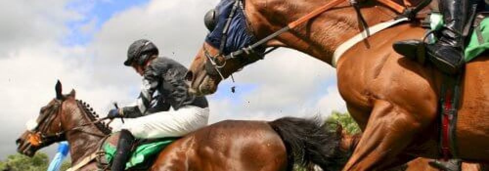 horse-racing-3