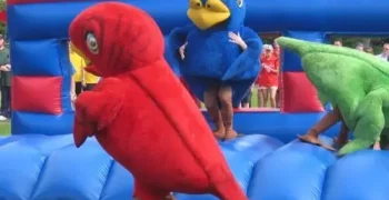 its-a-knockout