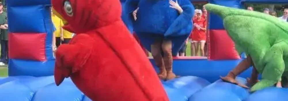 its-a-knockout