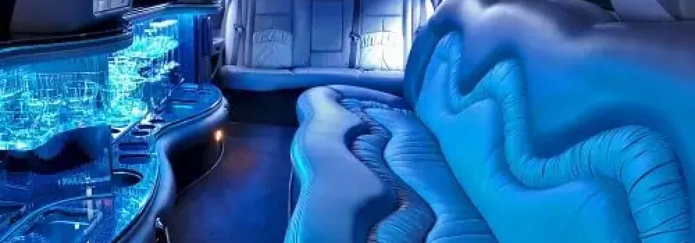 limo-transport-8