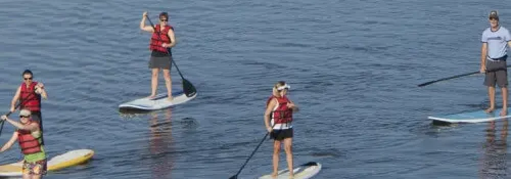 paddleboarding-31 (2)