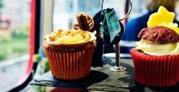 par-tea-bus-scotland1