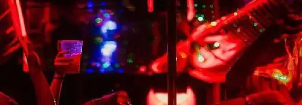 party-bus-transfer-2 (1)