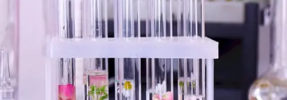 perfume-making-16 (12)