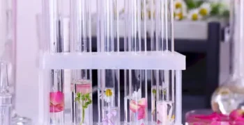 perfume-making-16 (13)