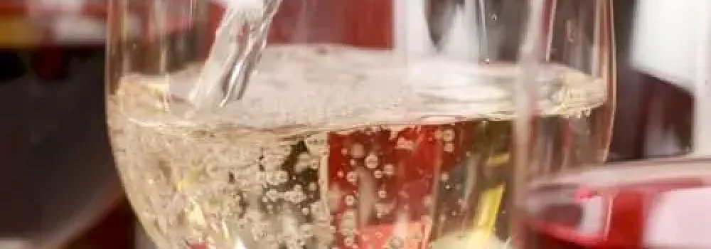 wine-tasting-1 (4)