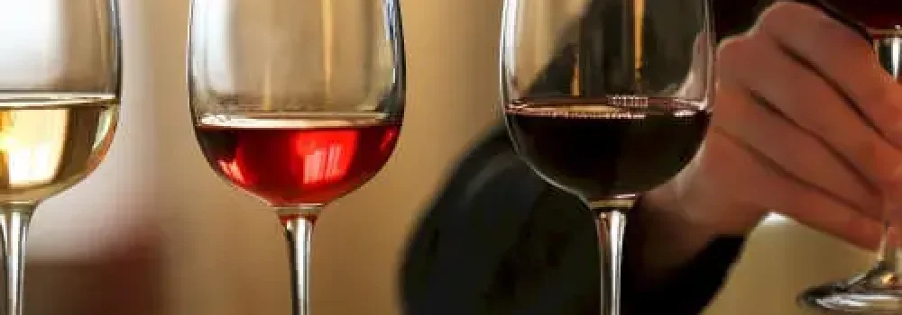 wine-tasting-8